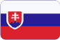 Sanácia muriva Slovensky